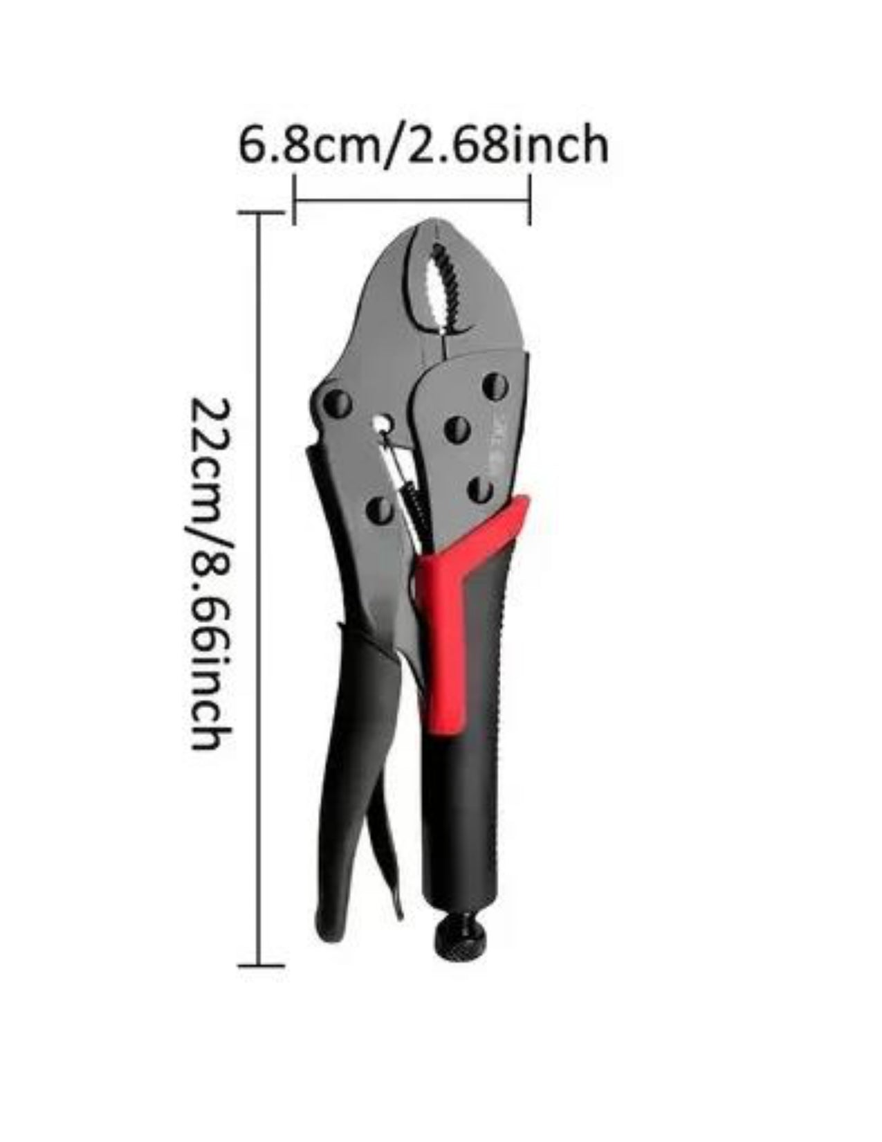 22cm-machoires-rondes